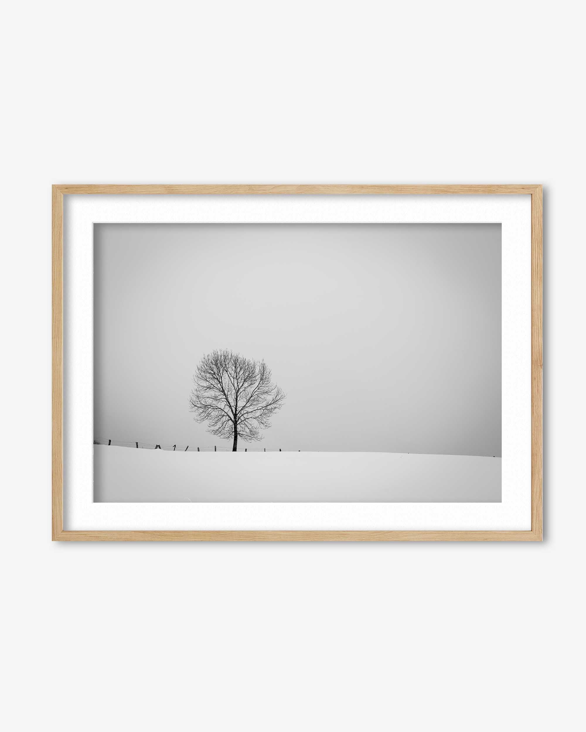 Framed minimalist landscape with a tree against a gray sky.
