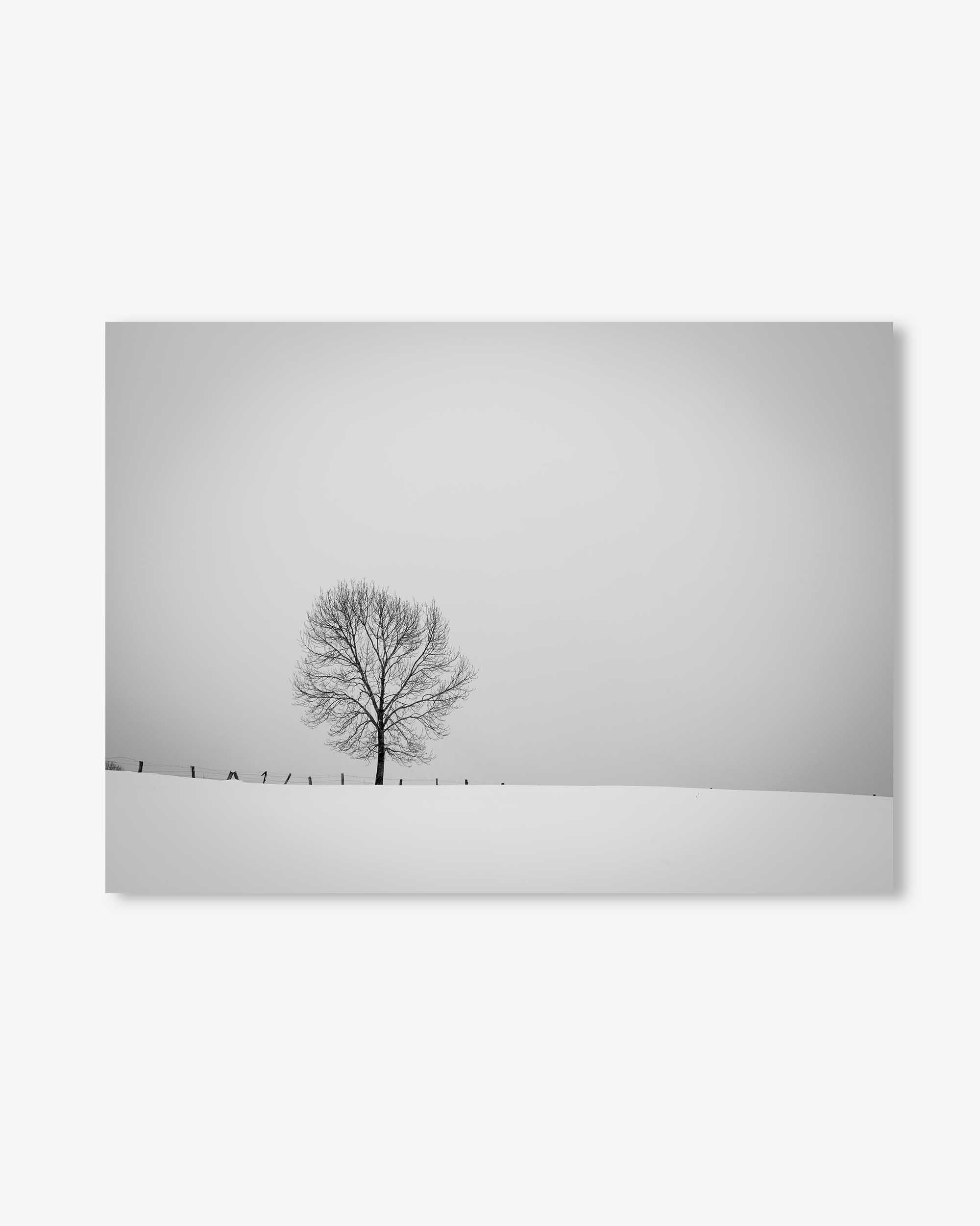 Lone Tree Art Print