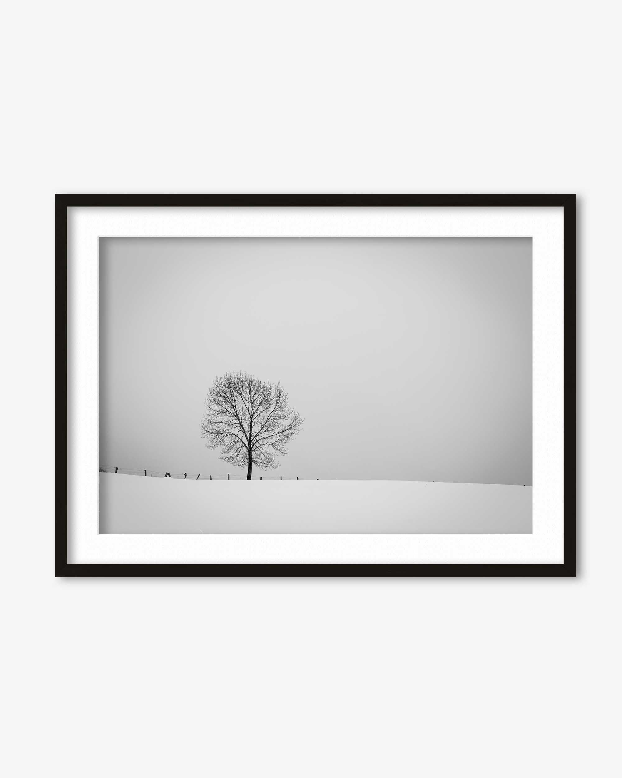 Framed black and white photograph of a lone tree against a gray sky.