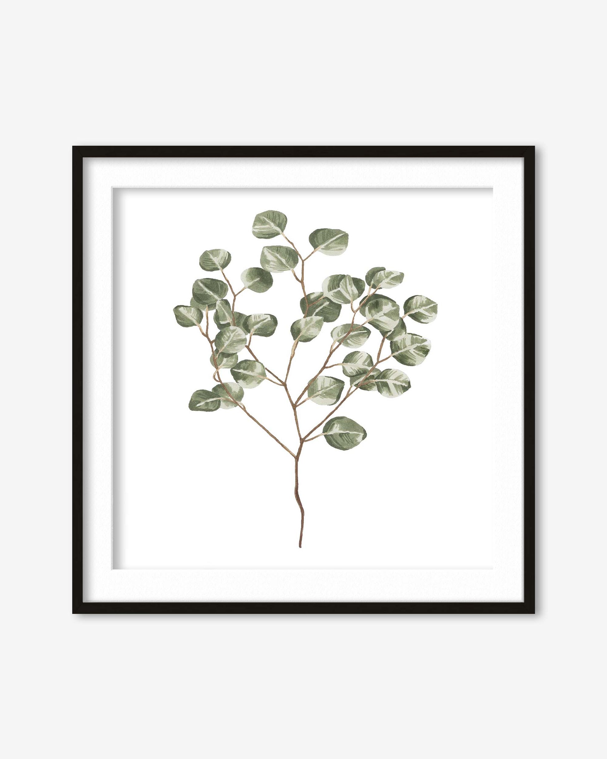 Framed artwork of a eucalyptus branch on a white background