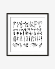 Framed artwork with black botanical illustrations on a white background