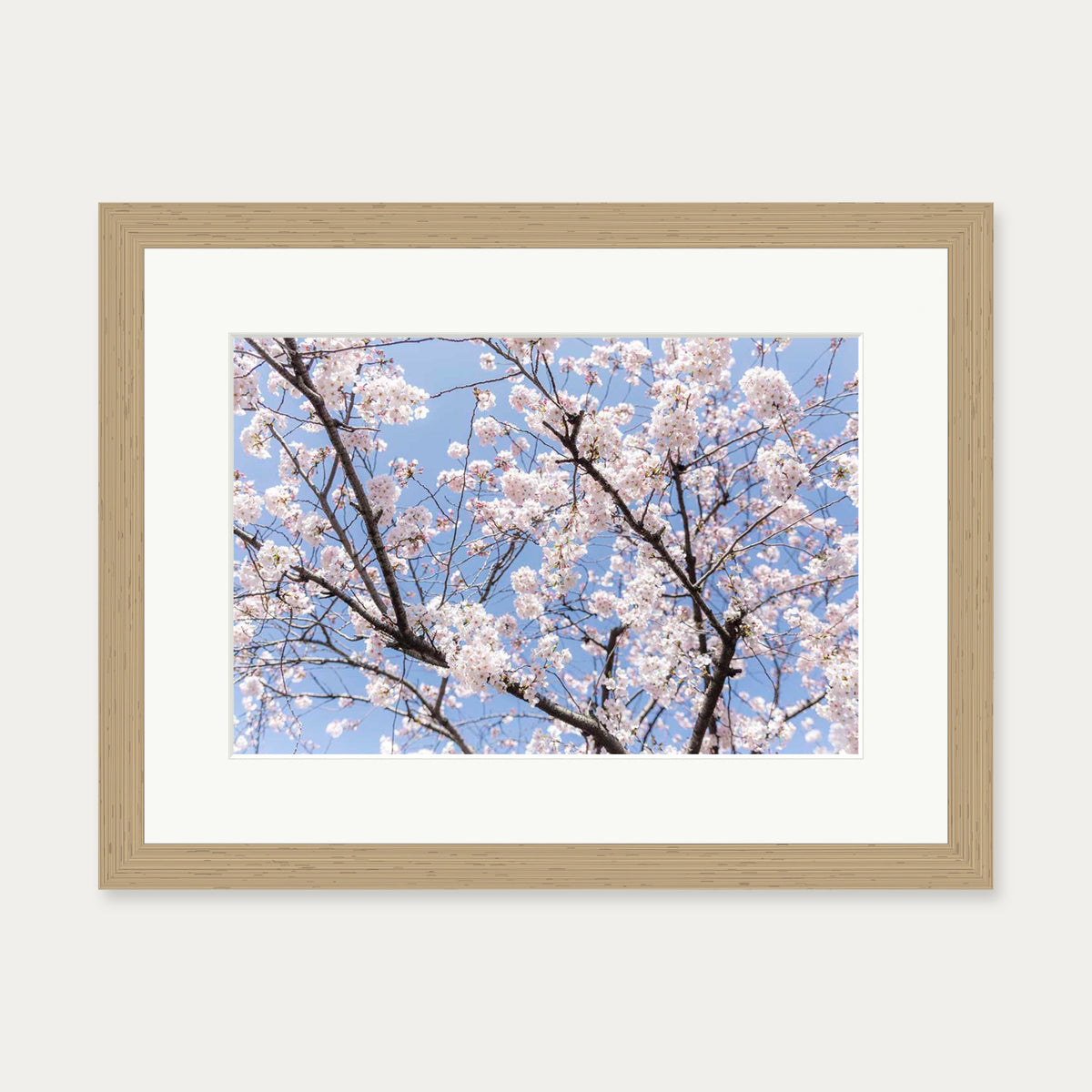 Blossoms Wall Art Print — 30 x 40 cm — Oak Frame