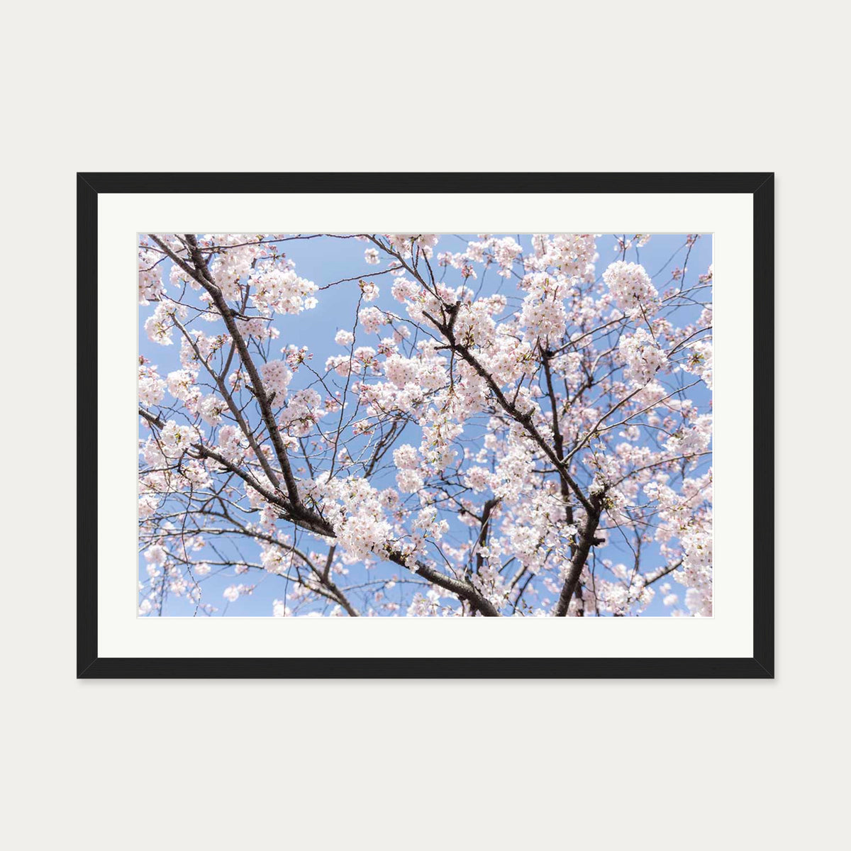 Blossoms Wall Art Print — 50 x 70 cm — Black Frame