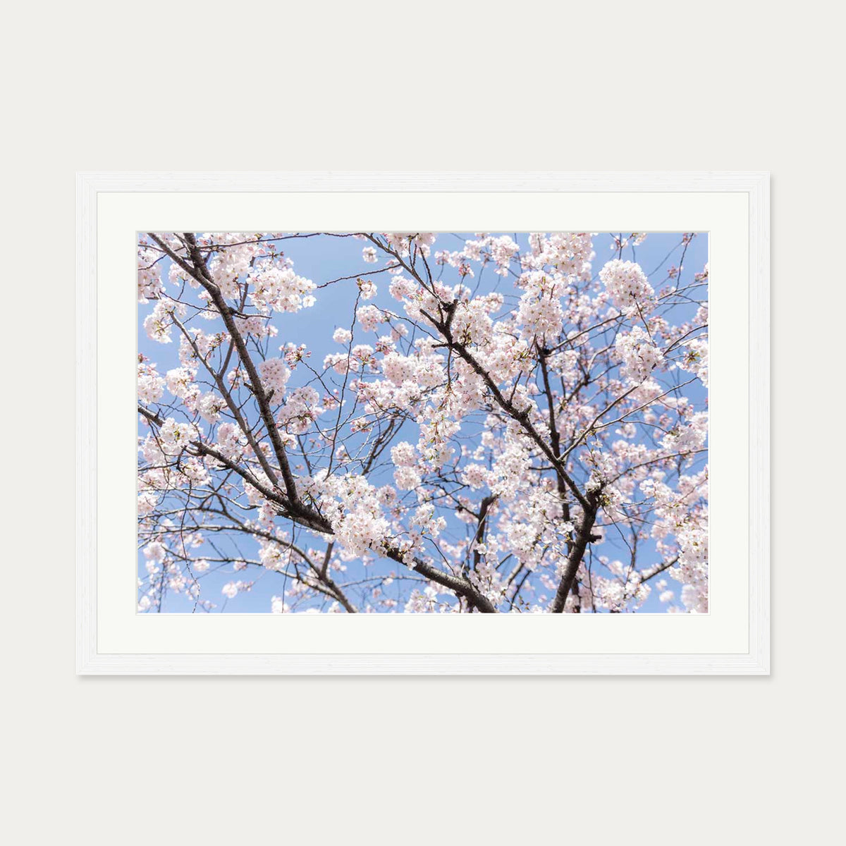 Blossoms Wall Art Print — 50 x 70 cm — White Frame