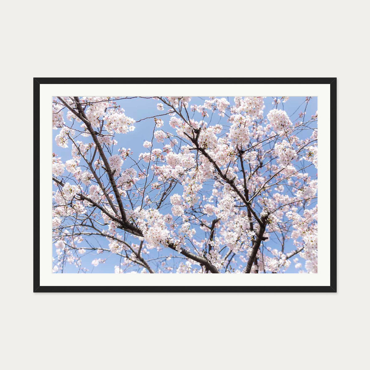 Blossoms Wall Art Print — 70 x 100 cm — Black Frame
