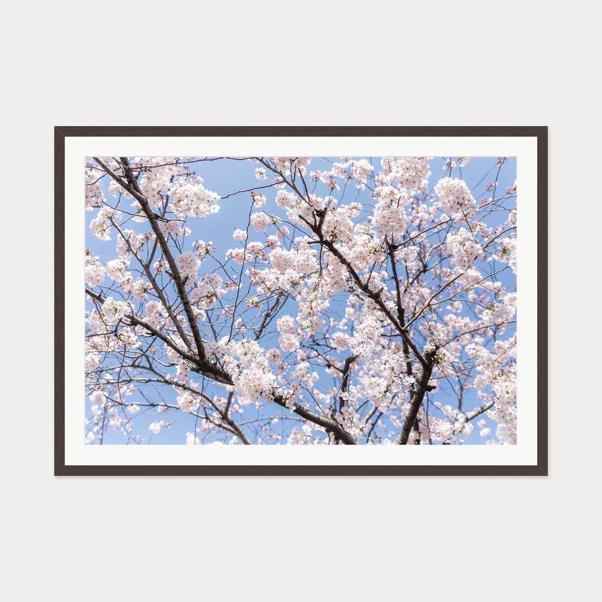Blossoms Wall Art Print — 70 x 100 cm — Brown Frame