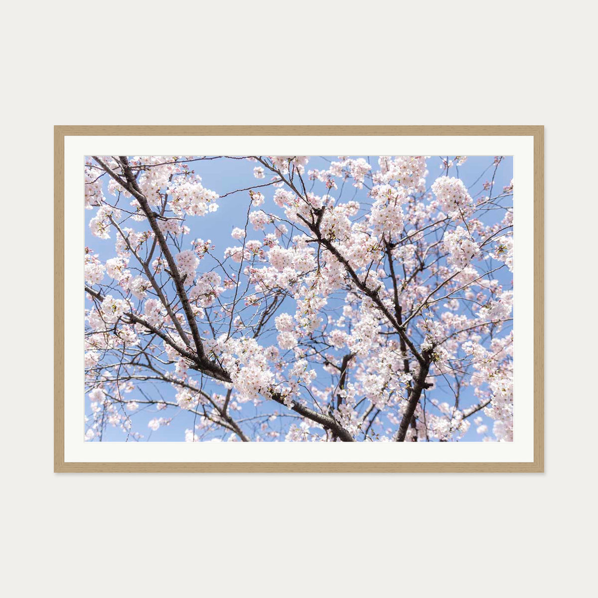 Blossoms Wall Art Print — 70 x 100 cm — Oak Frame
