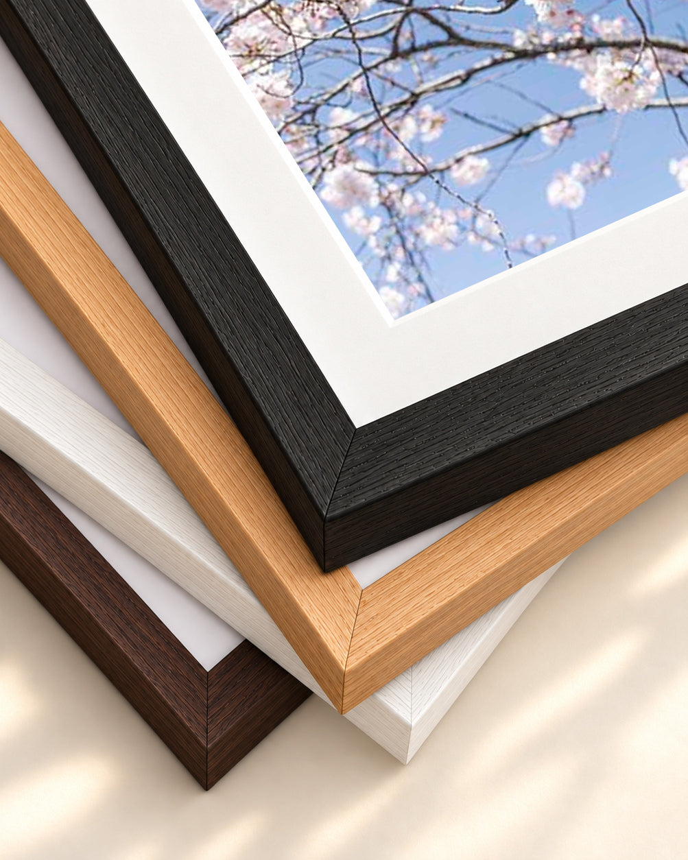 Blossoms Wall Art Print — framed print corner with 5 cm mount and bevel