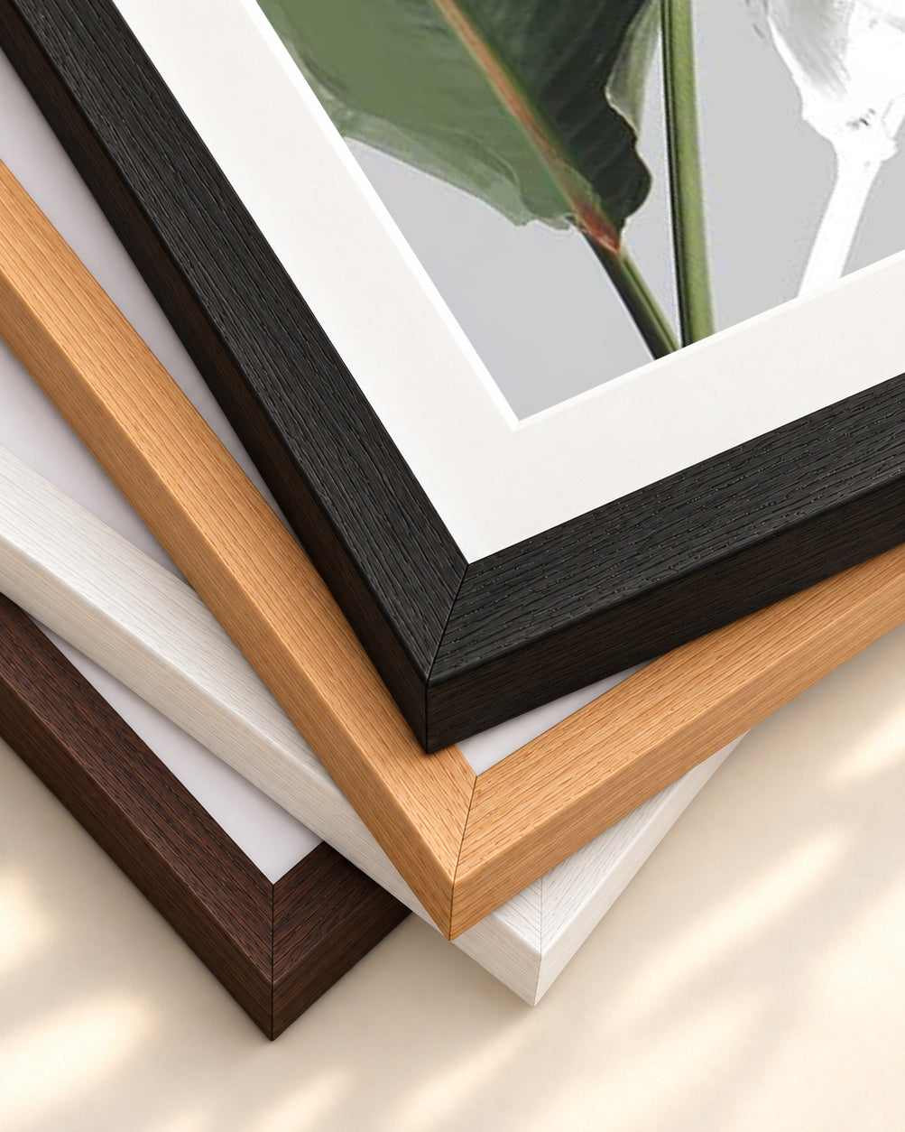 Botanical Abstract Art Print — framed print corner with 5 cm mount and bevel