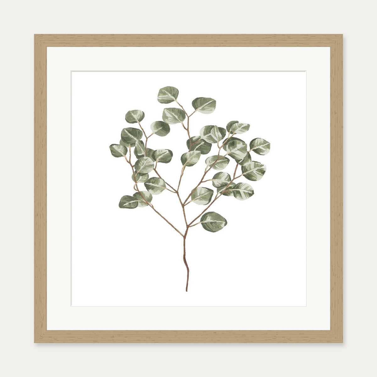 Botanical Branch Square Art Print — 50 x 50 cm — Oak Frame