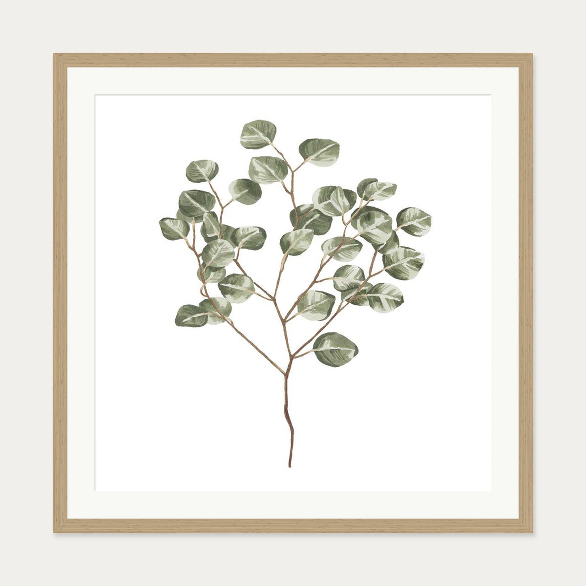 Botanical Branch Square Art Print — 70 x 70 cm — Oak Frame