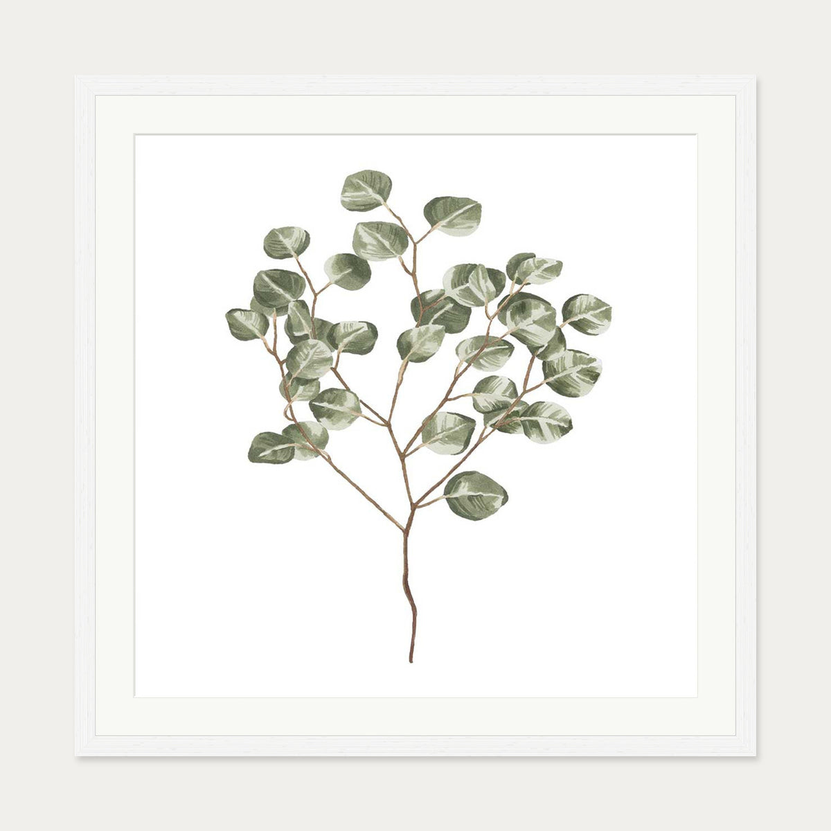 Botanical Branch Square Art Print — 70 x 70 cm — White Frame
