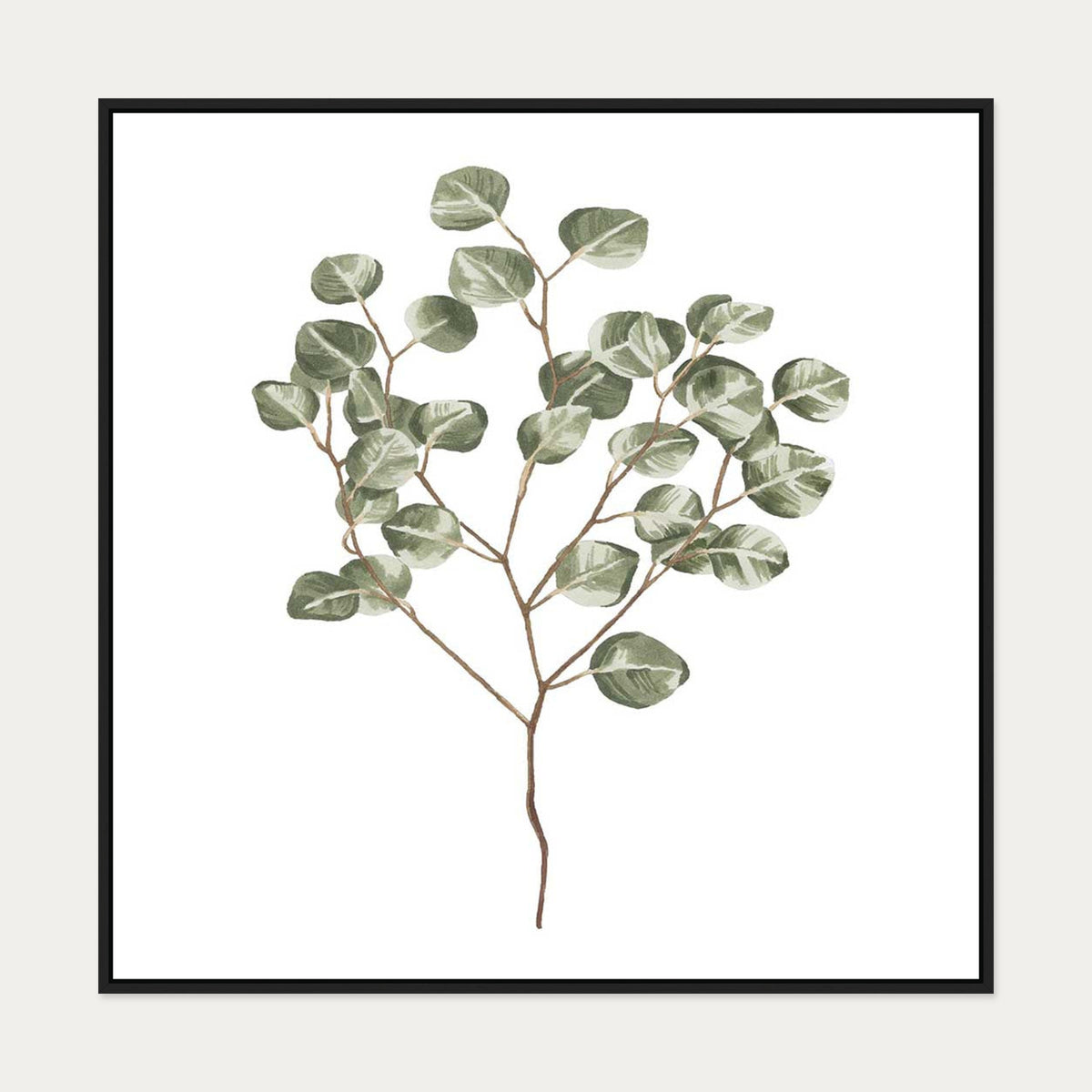 Botanical Branch Square Canvas Art — 100 x 100 cm — Black Frame