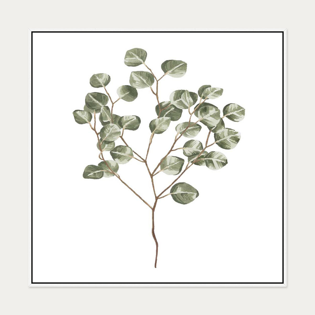Botanical Branch Square Canvas Art — 100 x 100 cm — White Frame