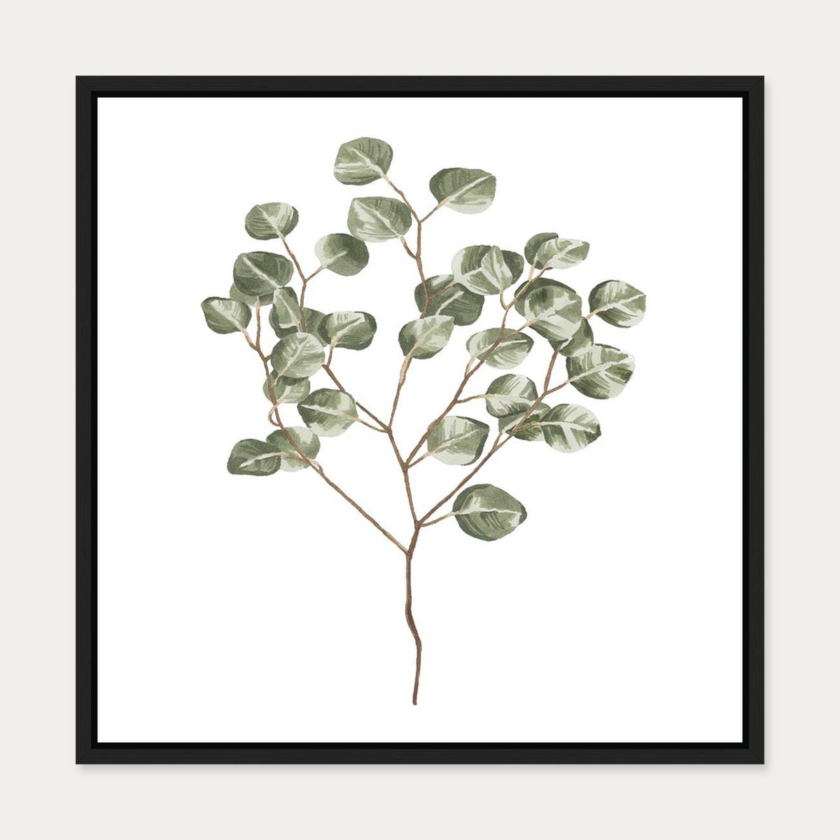 Botanical Branch Square Canvas Art — 50 x 50 cm — Black Frame