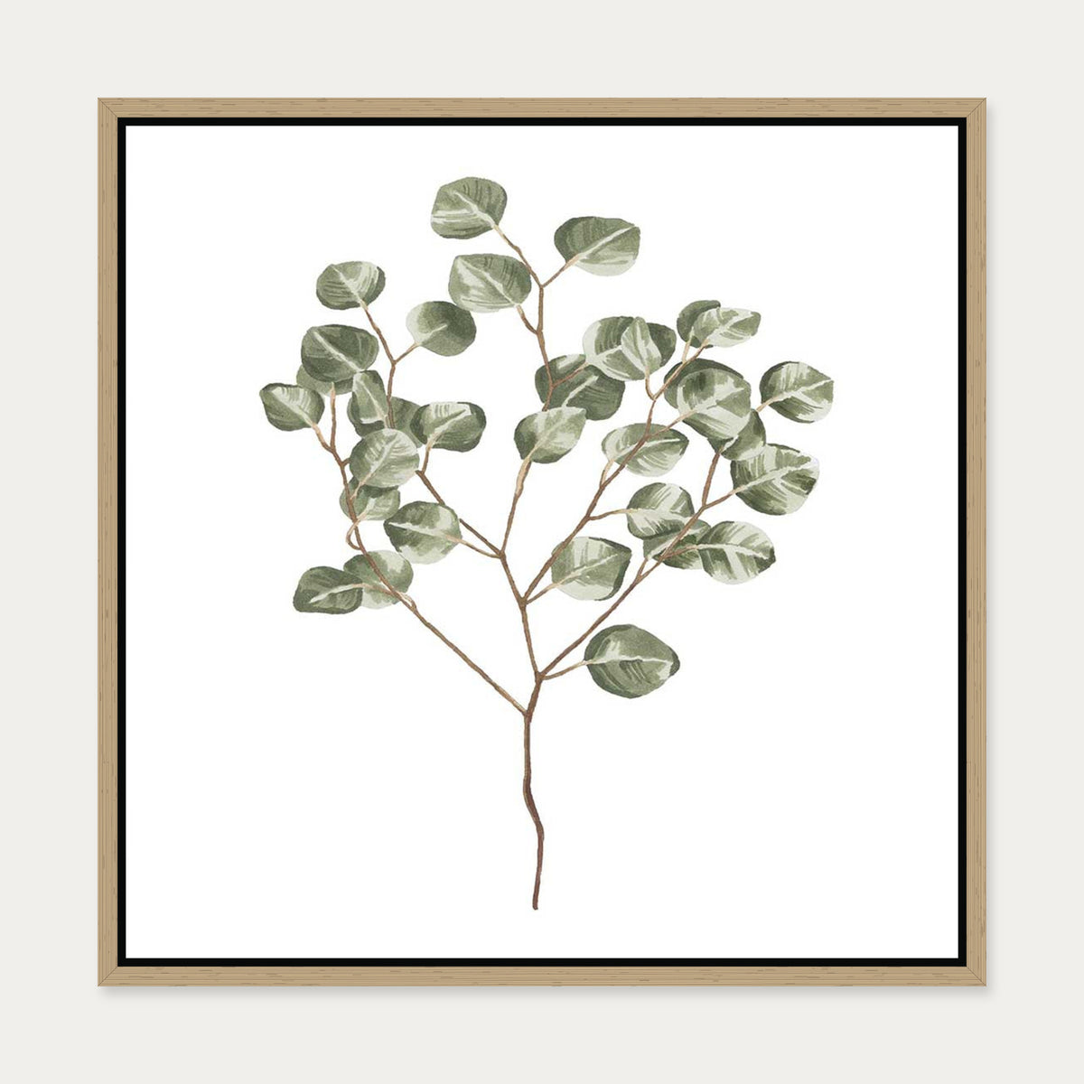Botanical Branch Square Canvas Art — 50 x 50 cm — Oak Frame