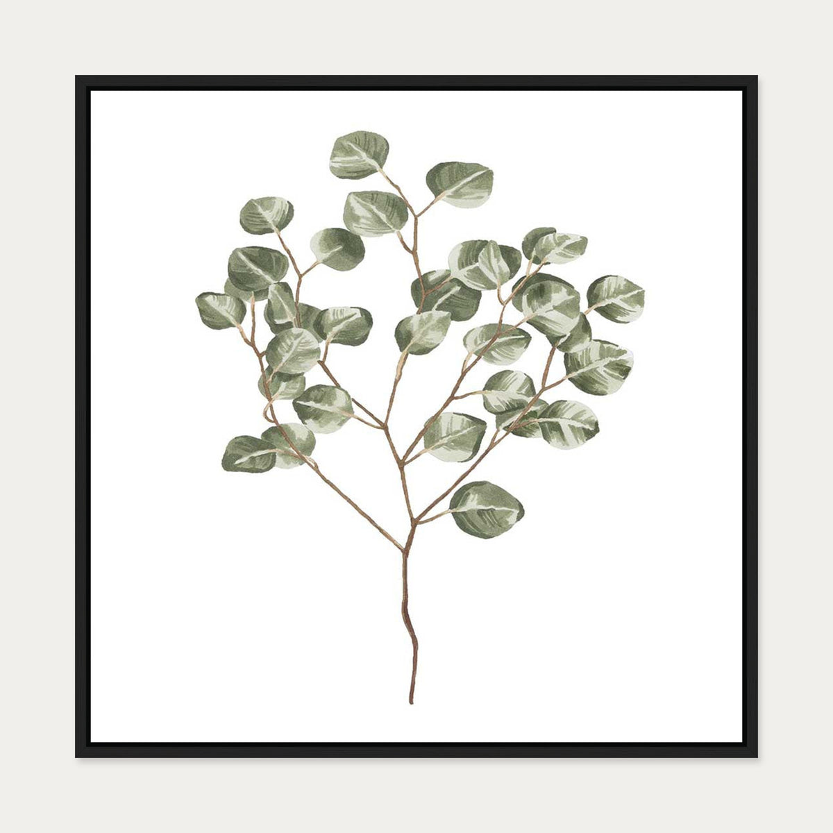 Botanical Branch Square Canvas Art — 70 x 70 cm — Black Frame