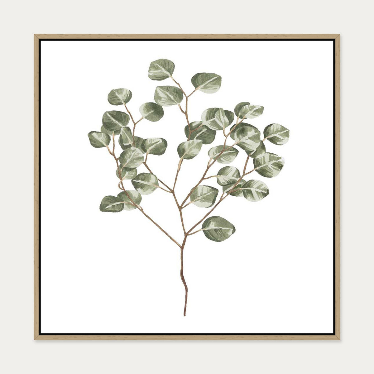Botanical Branch Square Canvas Art — 70 x 70 cm — Oak Frame