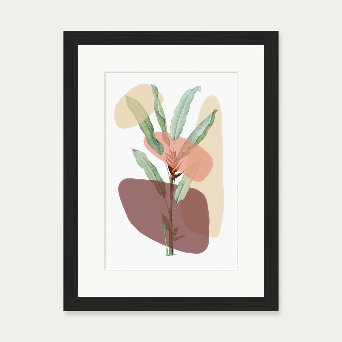 Botanical Illustration With Shapes Art Print — 30 x 40 cm — Black Frame