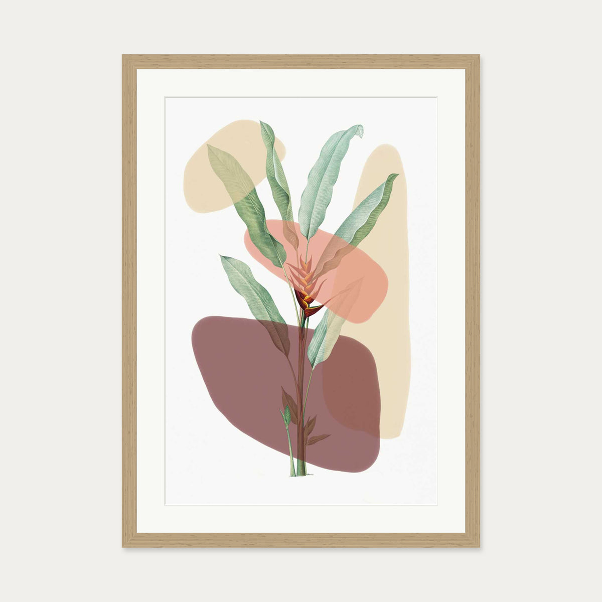 Botanical Illustration With Shapes Art Print — 50 x 70 cm — Oak Frame