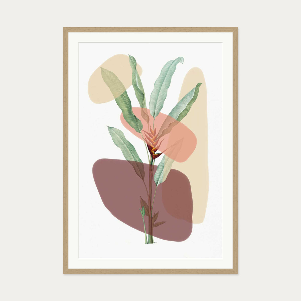Botanical Illustration With Shapes Art Print — 70 x 100 cm — Oak Frame