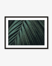 Delicate Leaf Wall Art Print
