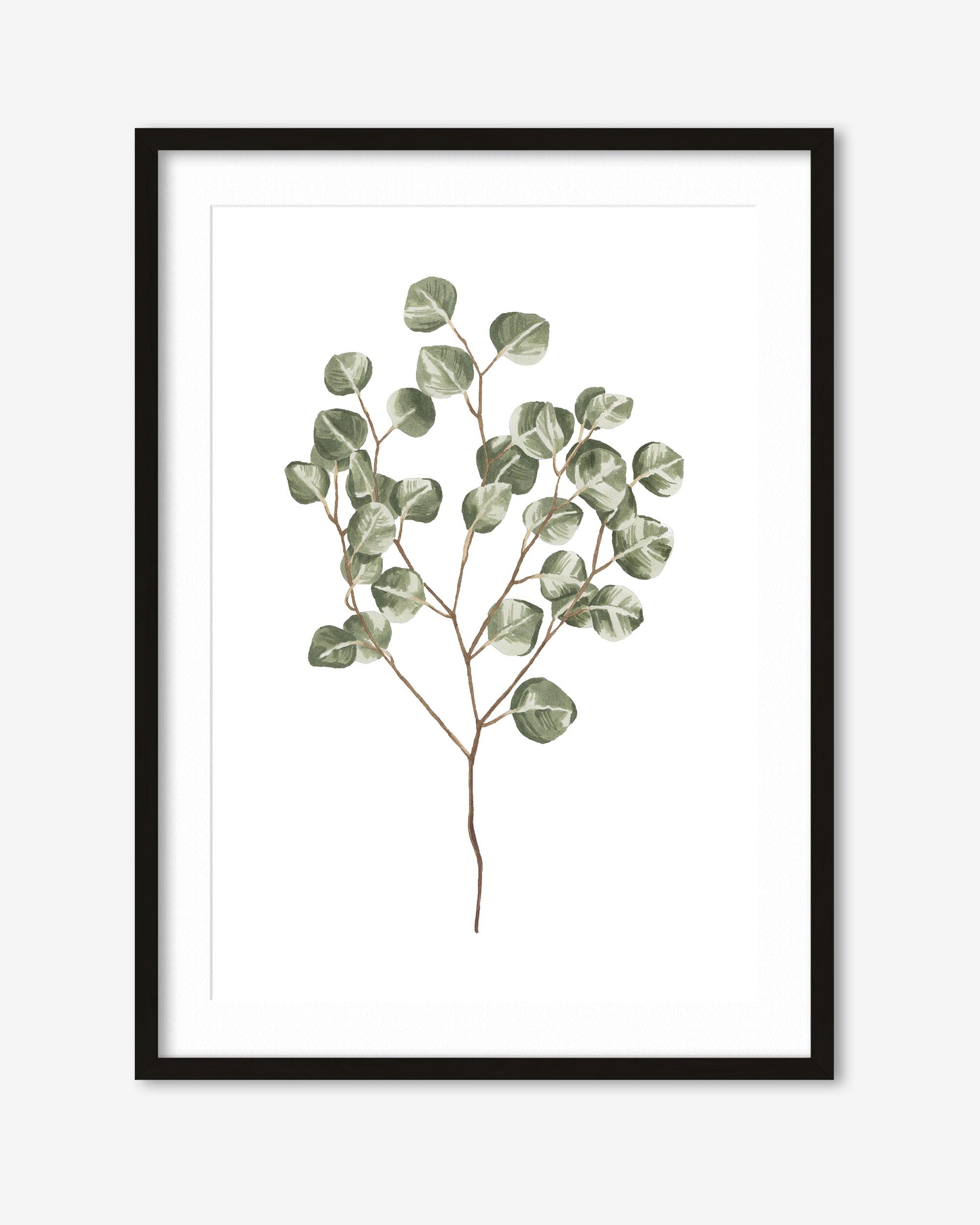 Framed artwork of a eucalyptus branch on a white background