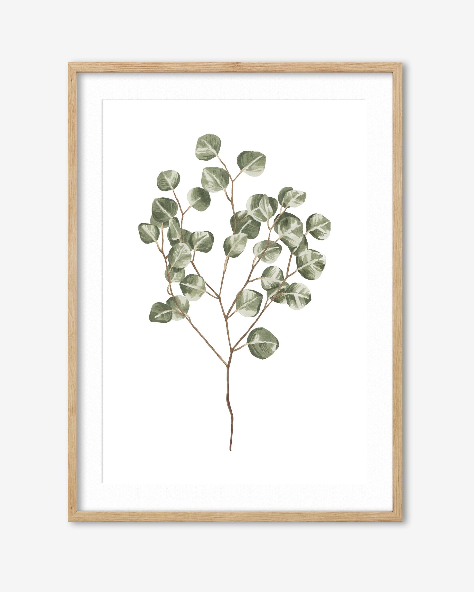 Framed artwork of a eucalyptus branch on a white background