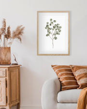 Framed eucalyptus plant art on a wall above a sofa with decorative pillows and a sideboard.