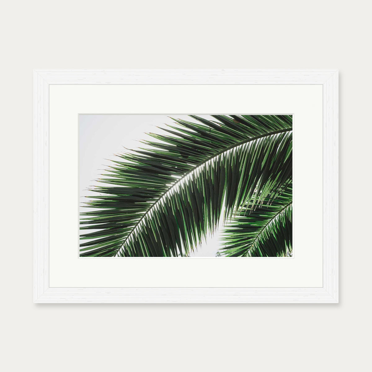Botanical Palm Wall Art Print — 30 x 40 cm — White Frame