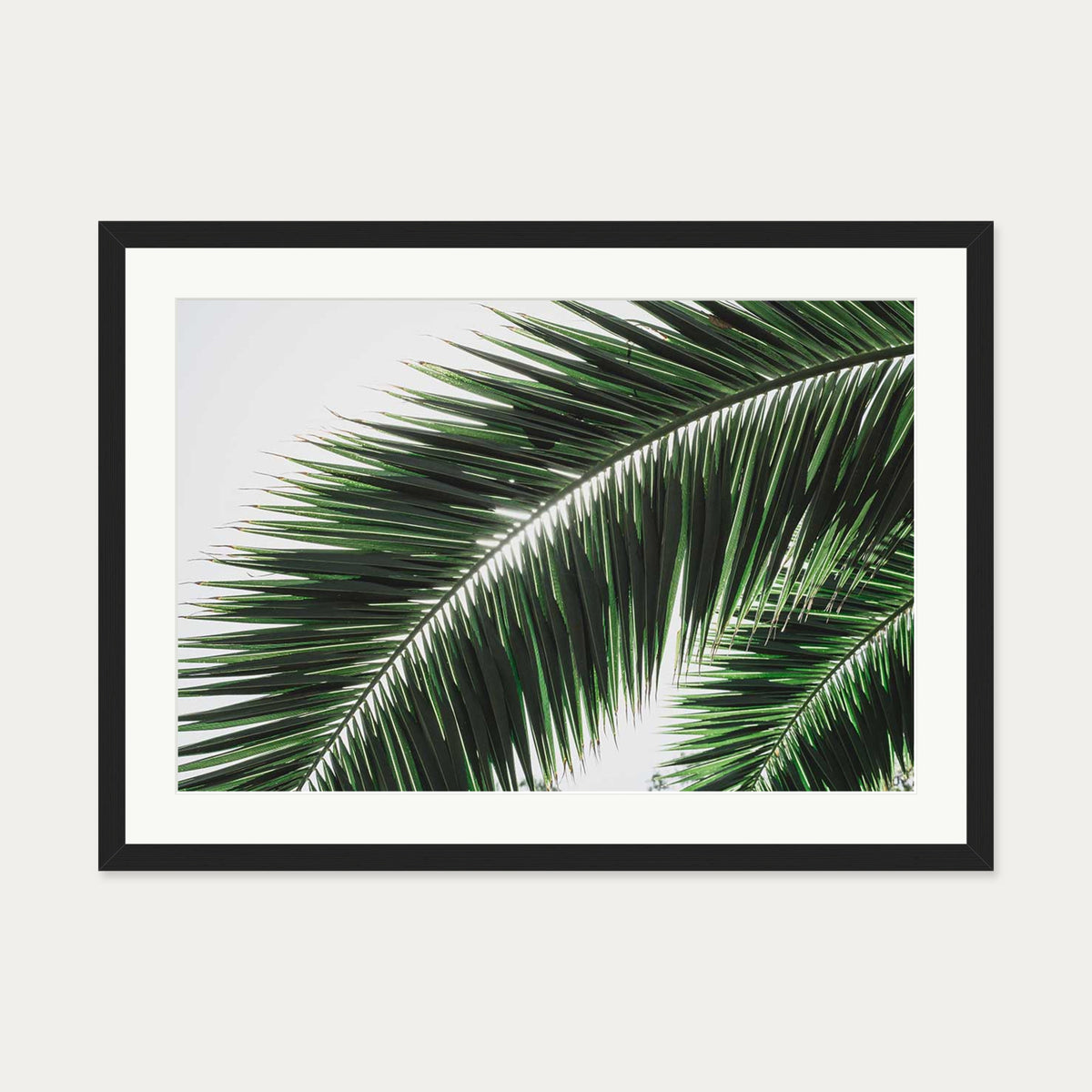 Botanical Palm Wall Art Print — 50 x 70 cm — Black Frame