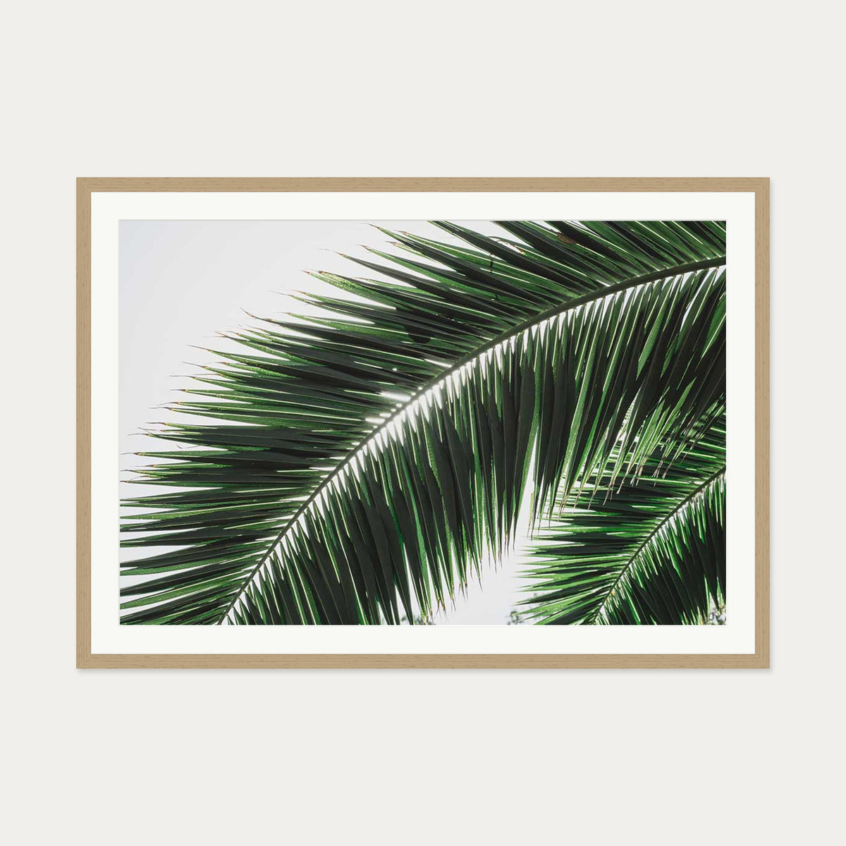 Botanical Palm Wall Art Print — 70 x 100 cm — Oak Frame