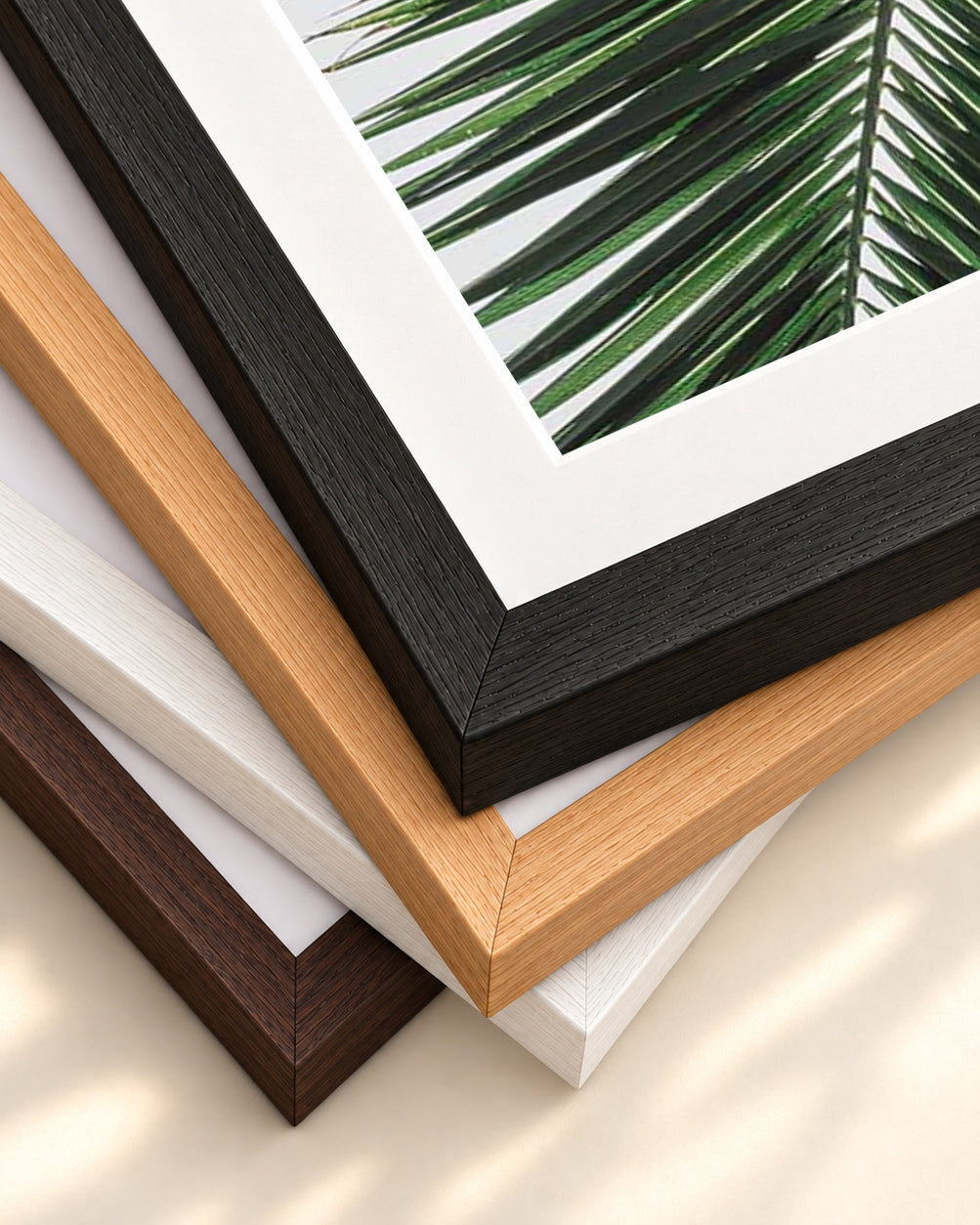 Botanical Palm Wall Art Print — framed print corner with 5 cm mount and bevel