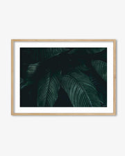 Tropical Leaf II Wall Art Print
