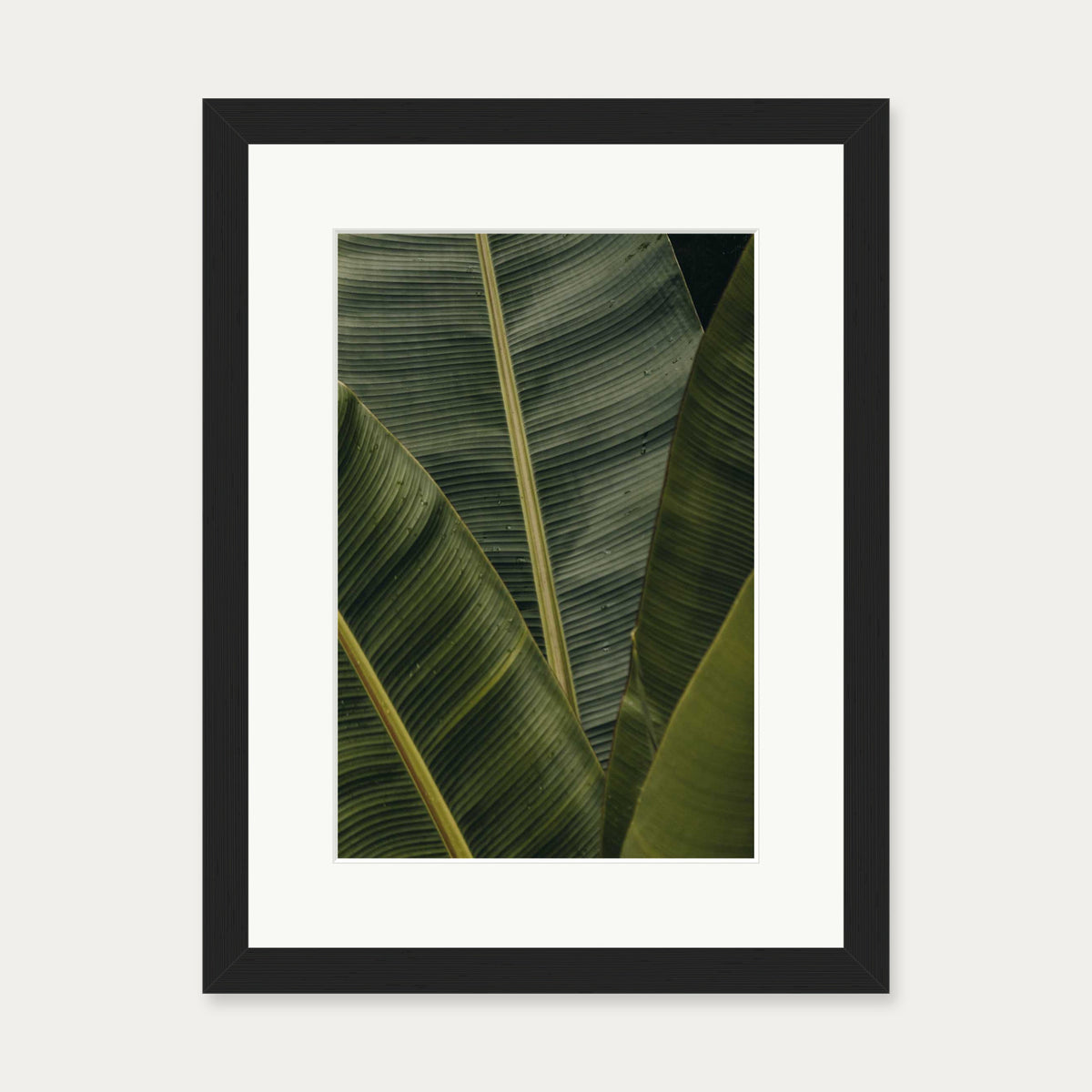 Botanical Portrait Wall Art Print — 30 x 40 cm — Black Frame