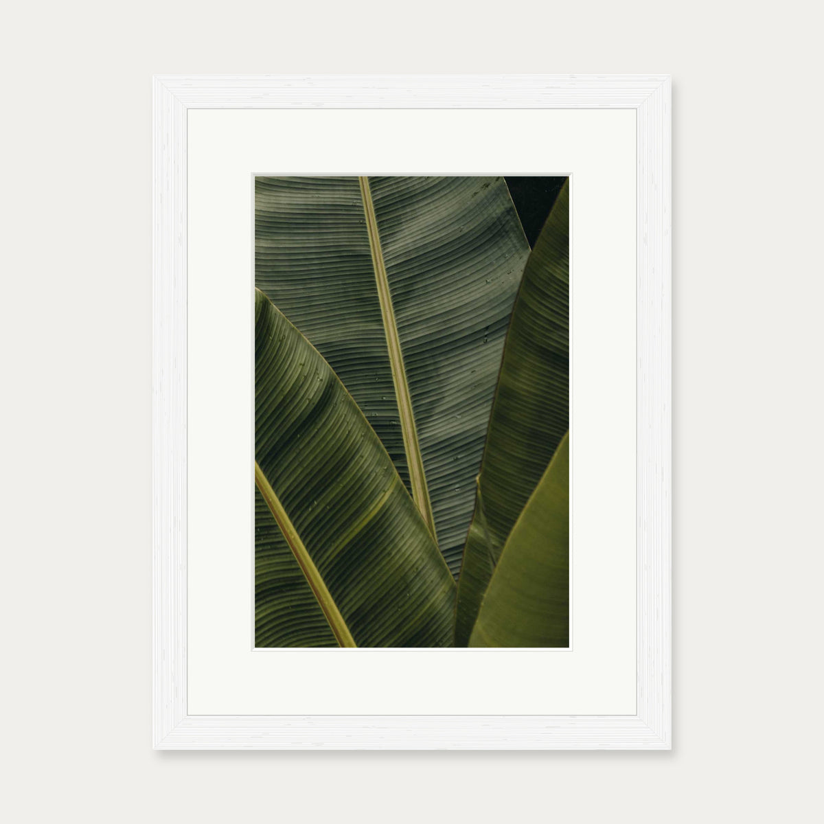 Botanical Portrait Wall Art Print — 30 x 40 cm — White Frame