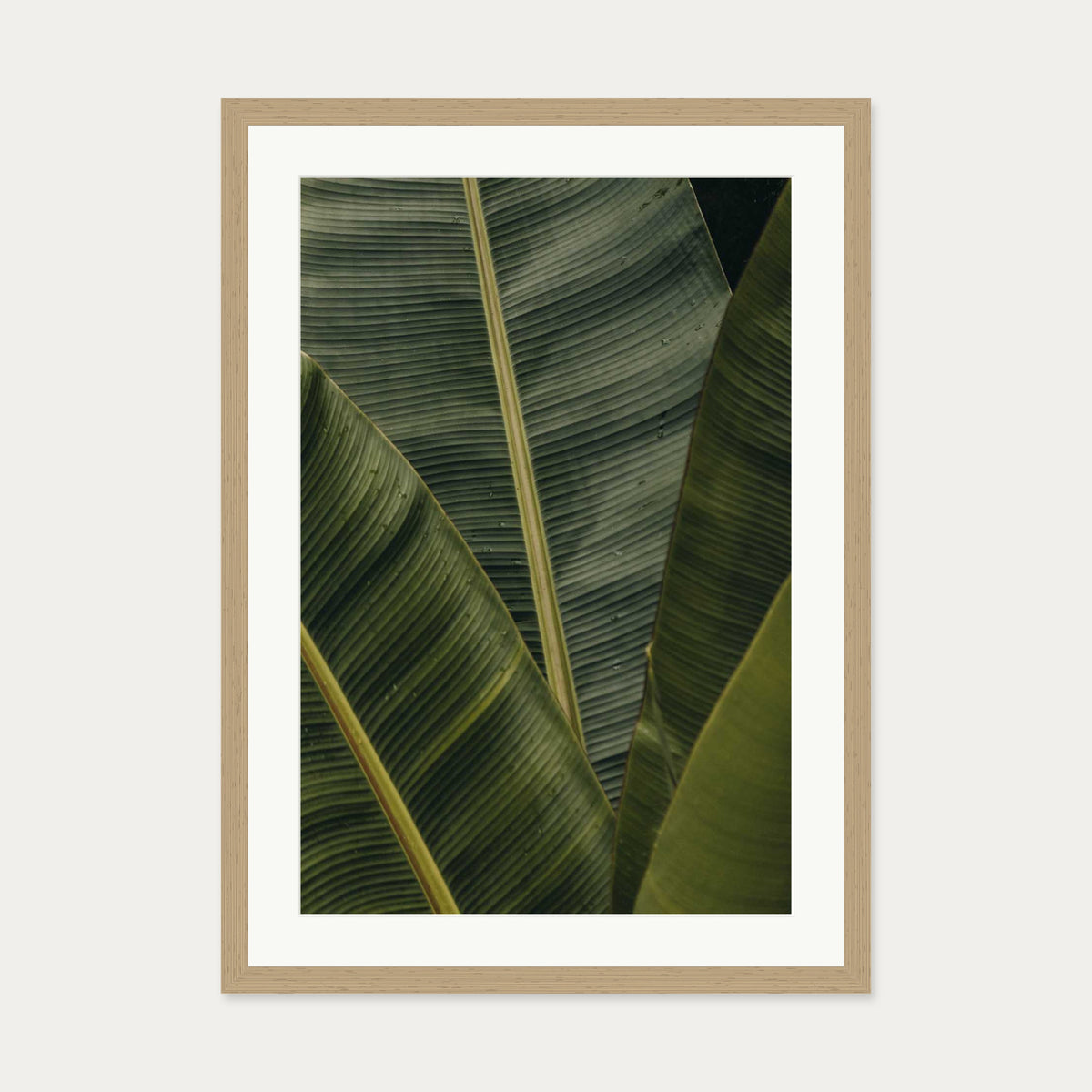 Botanical Portrait Wall Art Print — 50 x 70 cm — Oak Frame