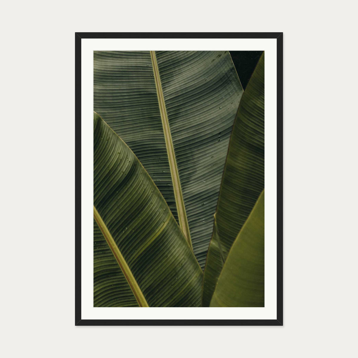Botanical Portrait Wall Art Print — 70 x 100 cm — Black Frame