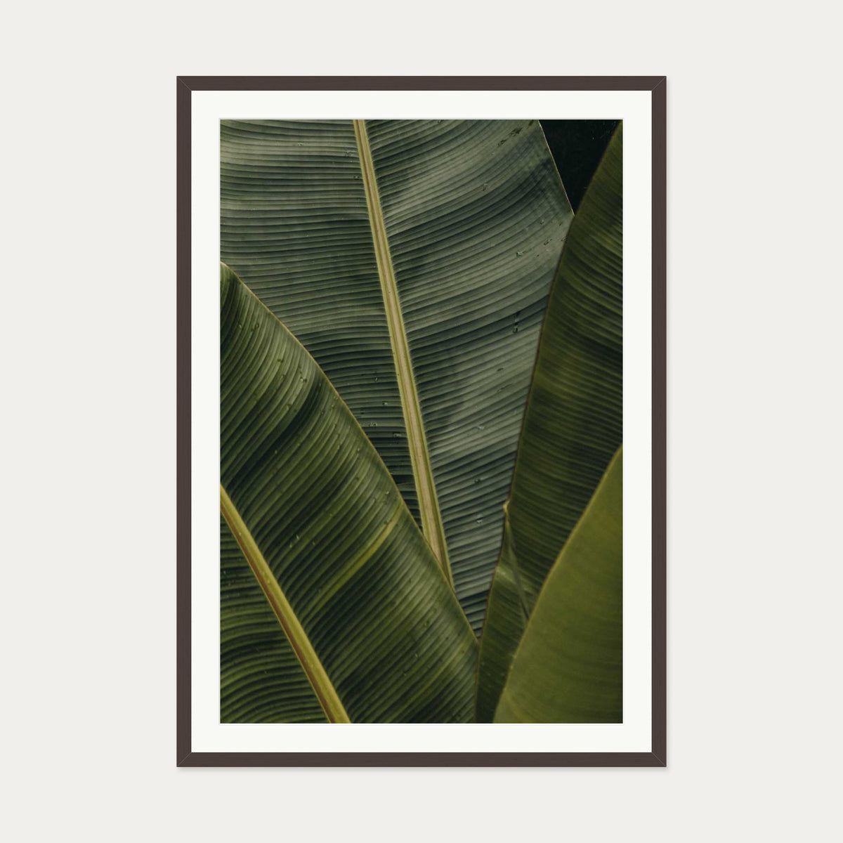 Botanical Portrait Wall Art Print — 70 x 100 cm — Brown Frame