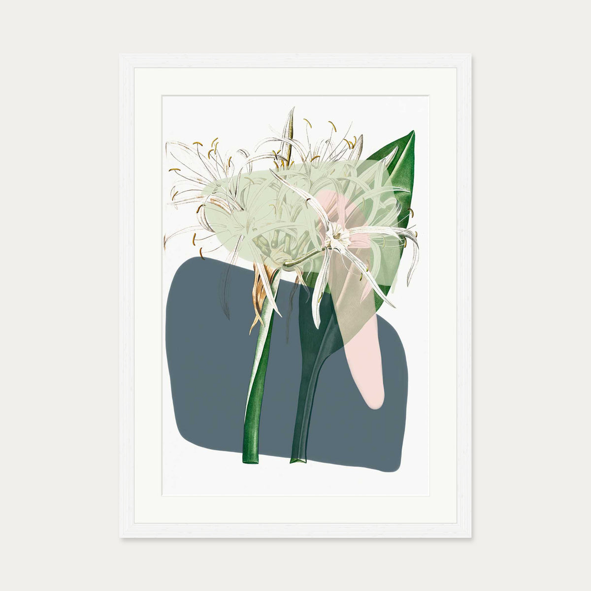 Botanical Vintage Spring Meadow Art Print — 50 x 70 cm — White Frame