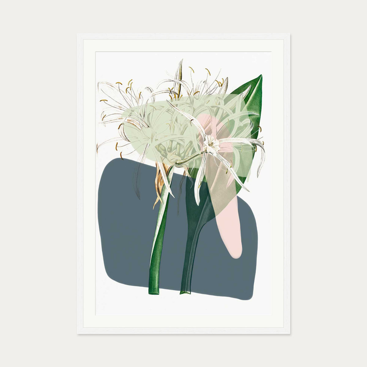 Botanical Vintage Spring Meadow Art Print — 70 x 100 cm — White Frame