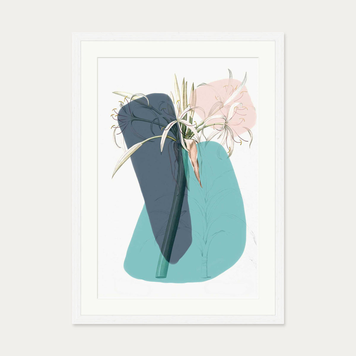 Botanical Vintage Teal Art Print — 50 x 70 cm — White Frame
