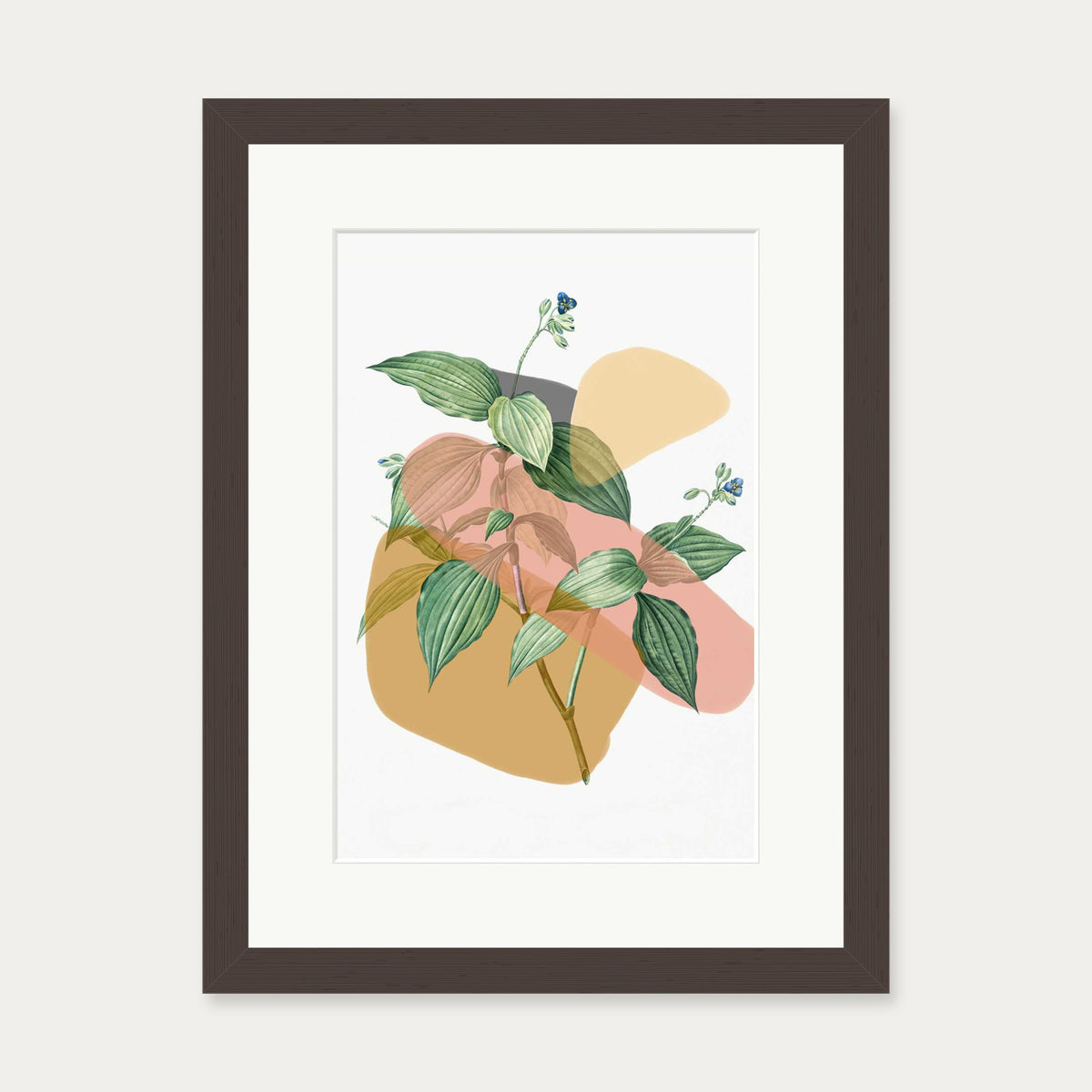Botanical Vintage Terracotta Art Print — 30 x 40 cm — Brown Frame
