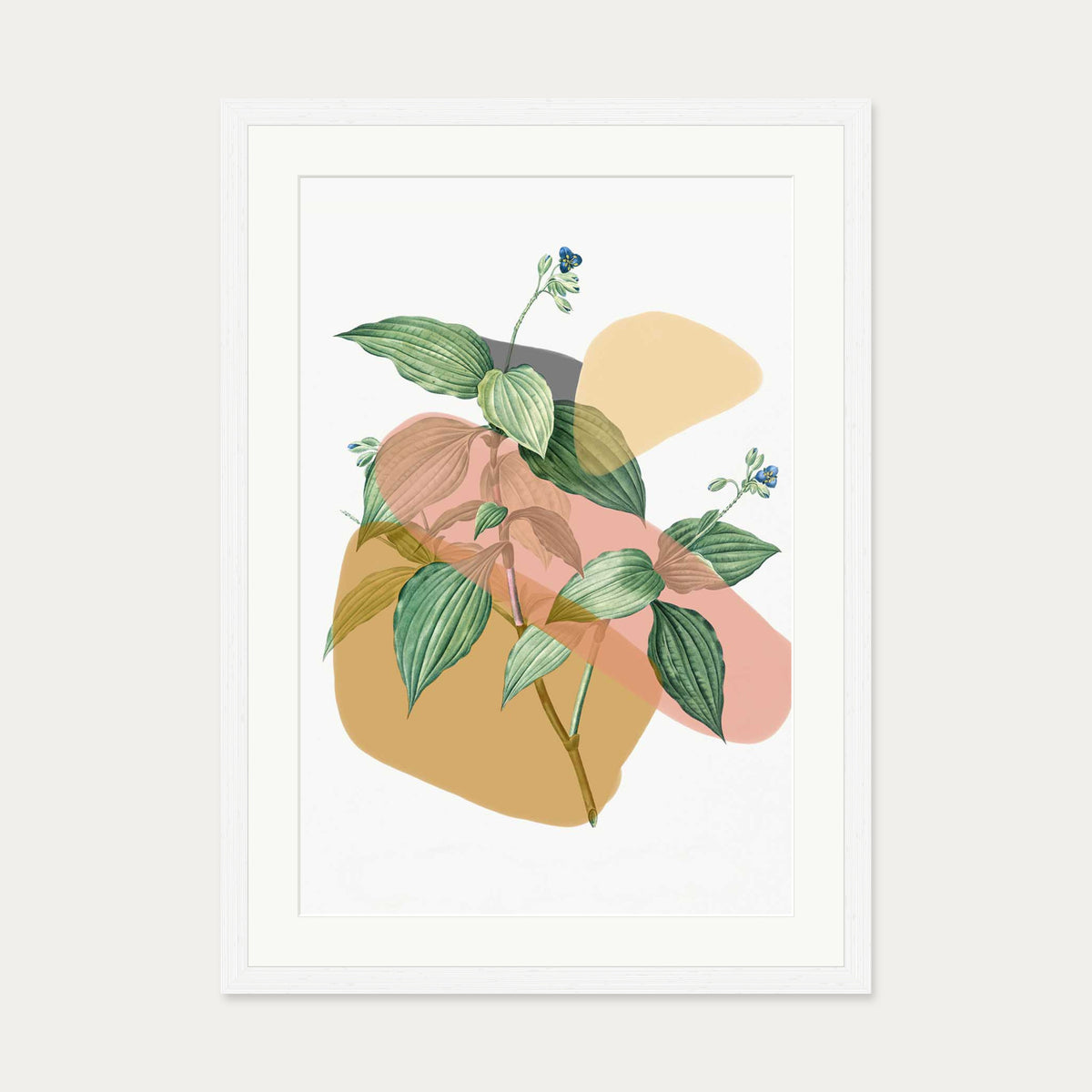 Botanical Vintage Terracotta Art Print — 50 x 70 cm — White Frame