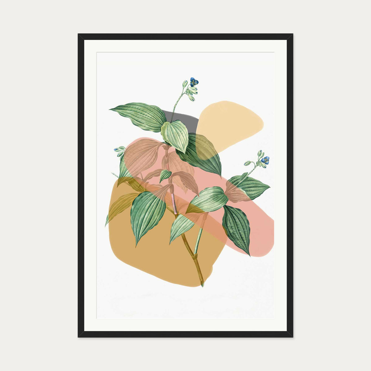 Botanical Vintage Terracotta Art Print — 70 x 100 cm — Black Frame