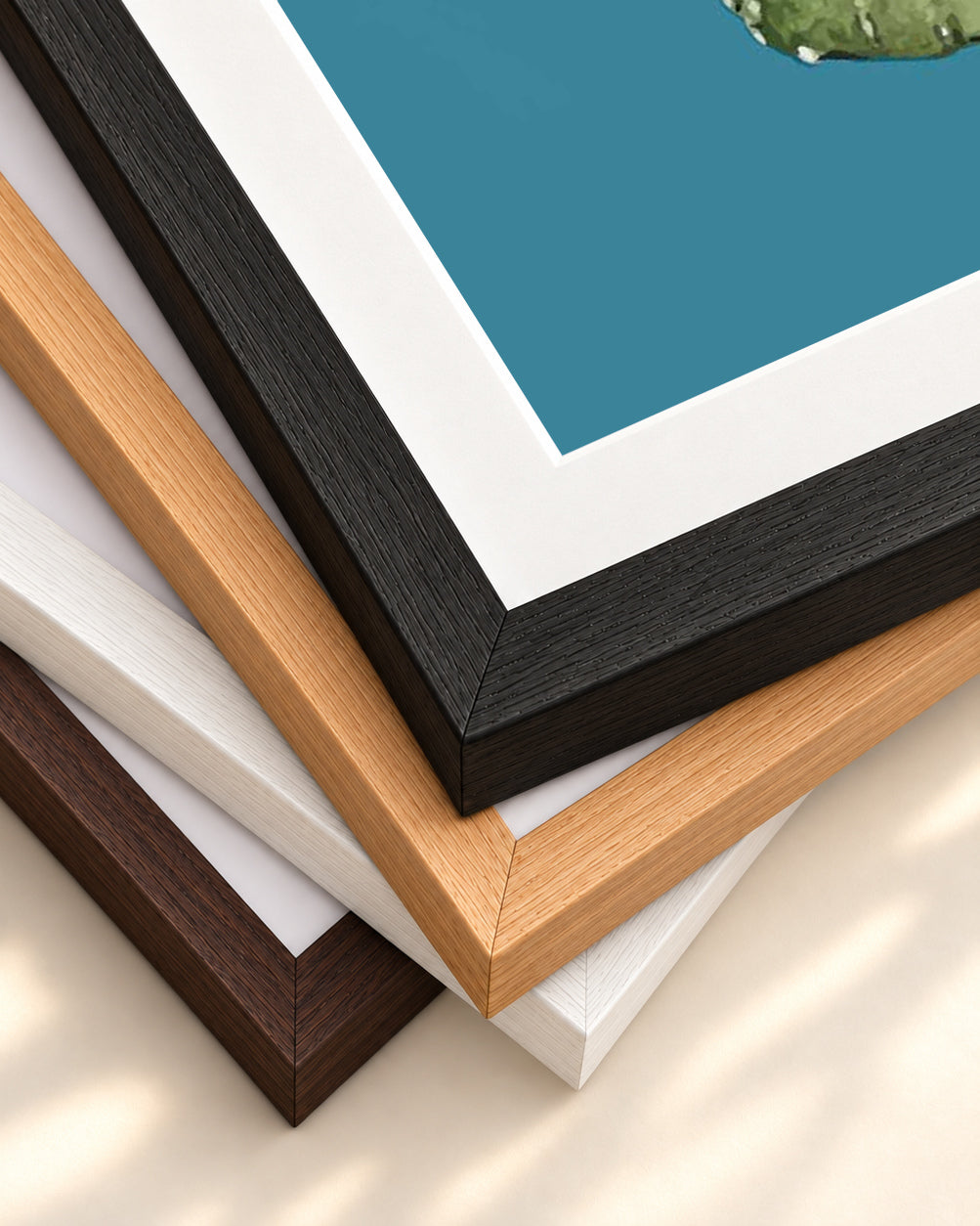 Cactus Contemporary Art Print — framed print corner with 5 cm mount and bevel