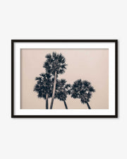California Palm Art Print