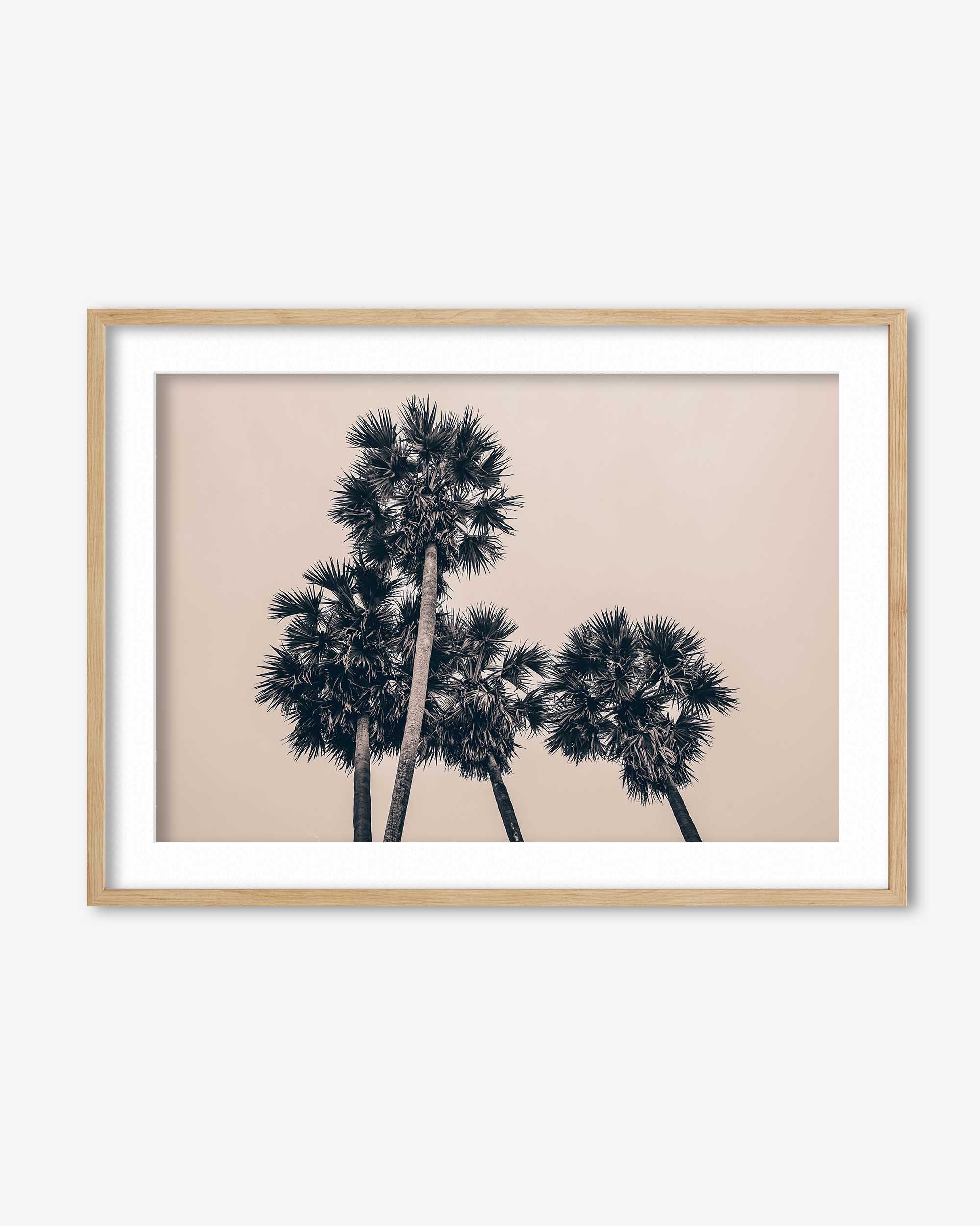 California Palm Art Print