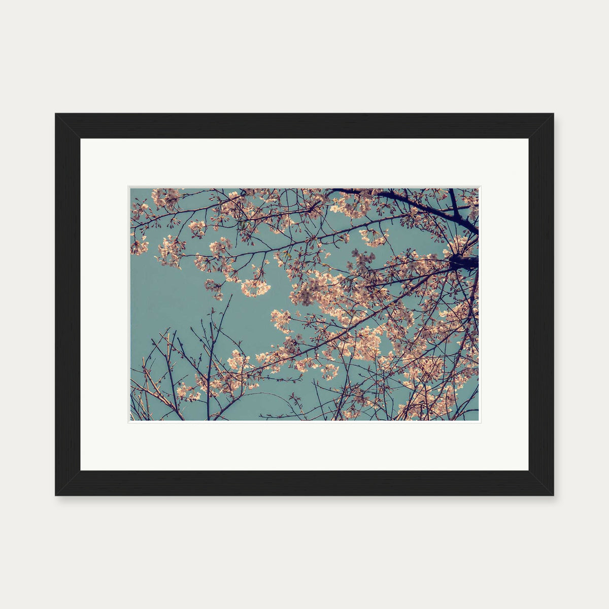 Cherry Blossom Wall Art Print — 30 x 40 cm — Black Frame