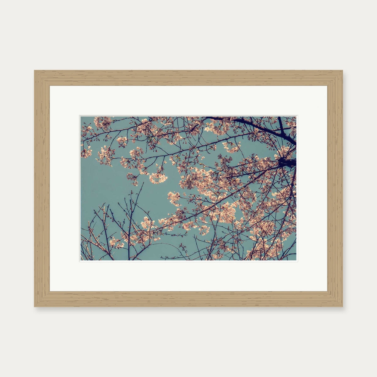 Cherry Blossom Wall Art Print — 30 x 40 cm — Oak Frame